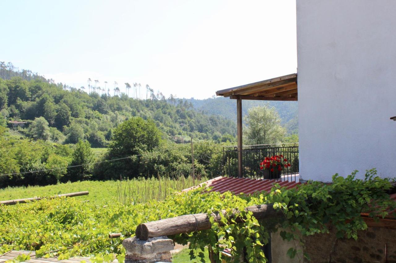 Agriturismo La Ferriera Pignone Ngoại thất bức ảnh