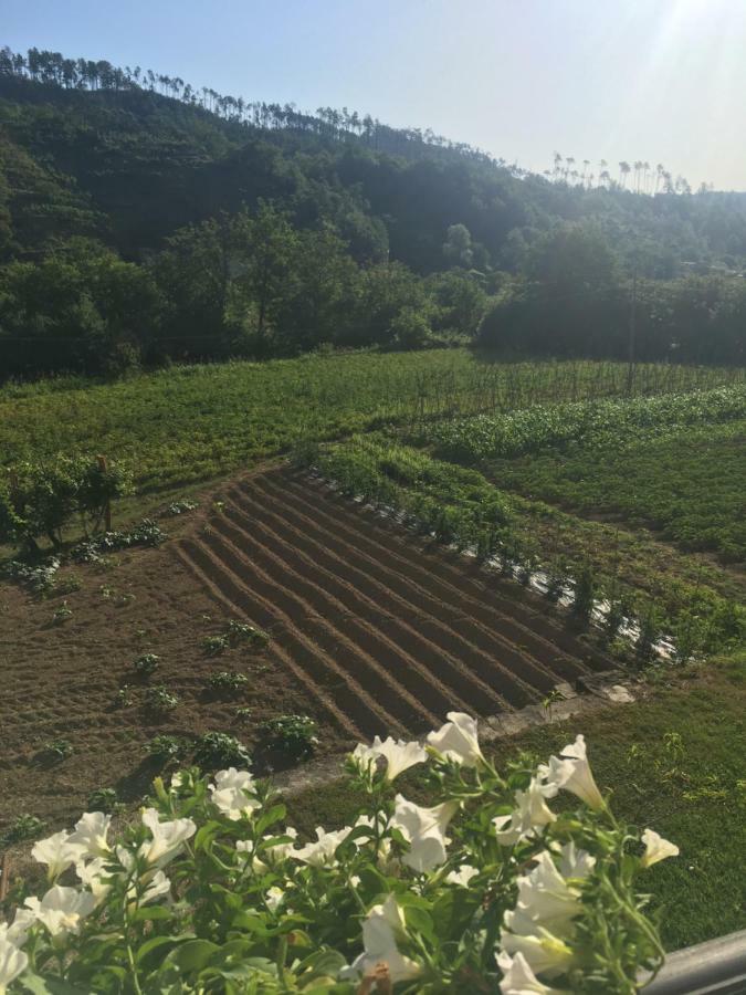 Agriturismo La Ferriera Pignone Ngoại thất bức ảnh